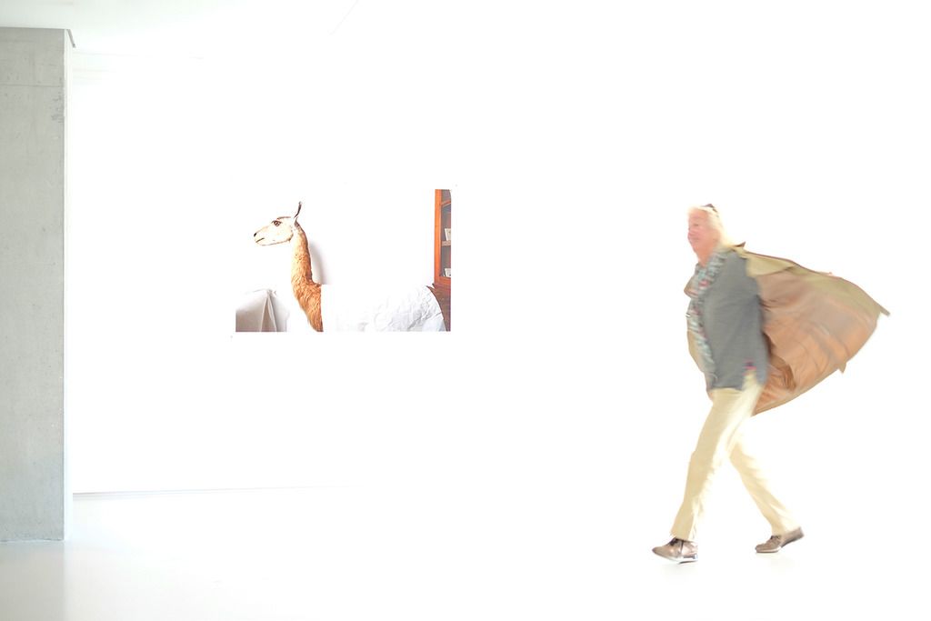 Fotografie