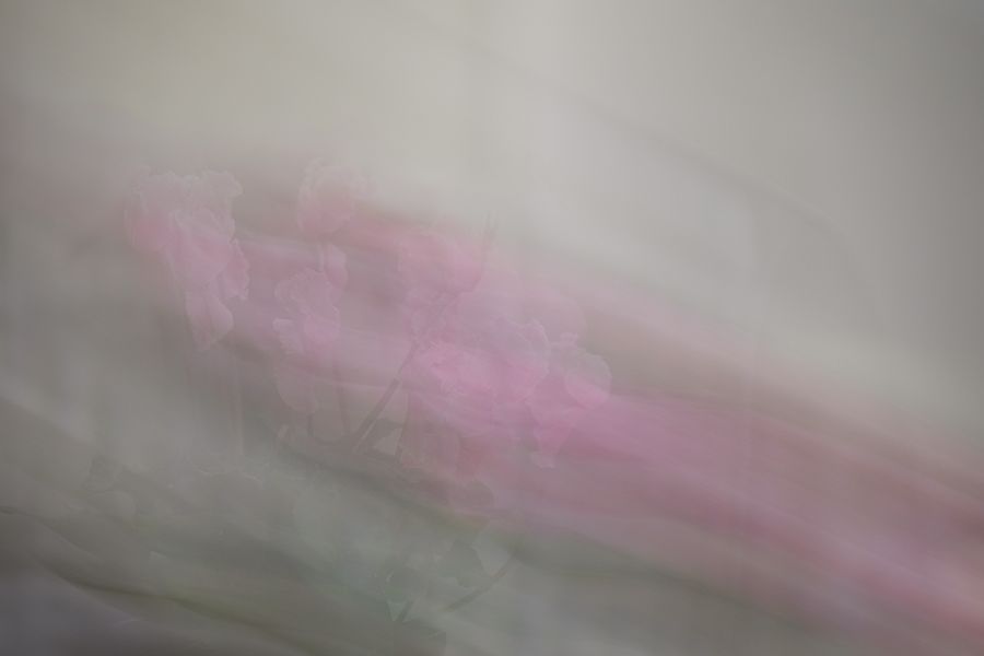Fotografie