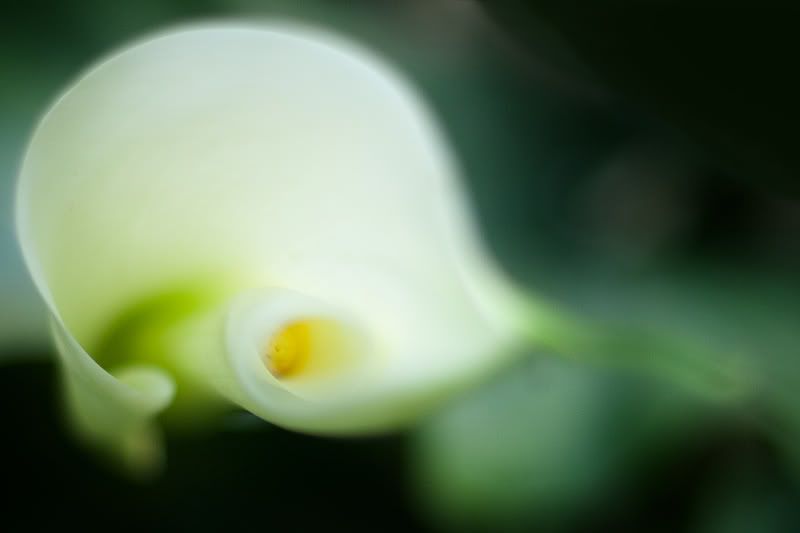 Fotografie
