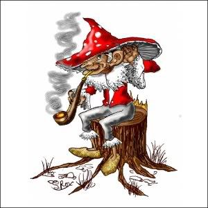 Amanita Pixies Pictures, Images and Photos