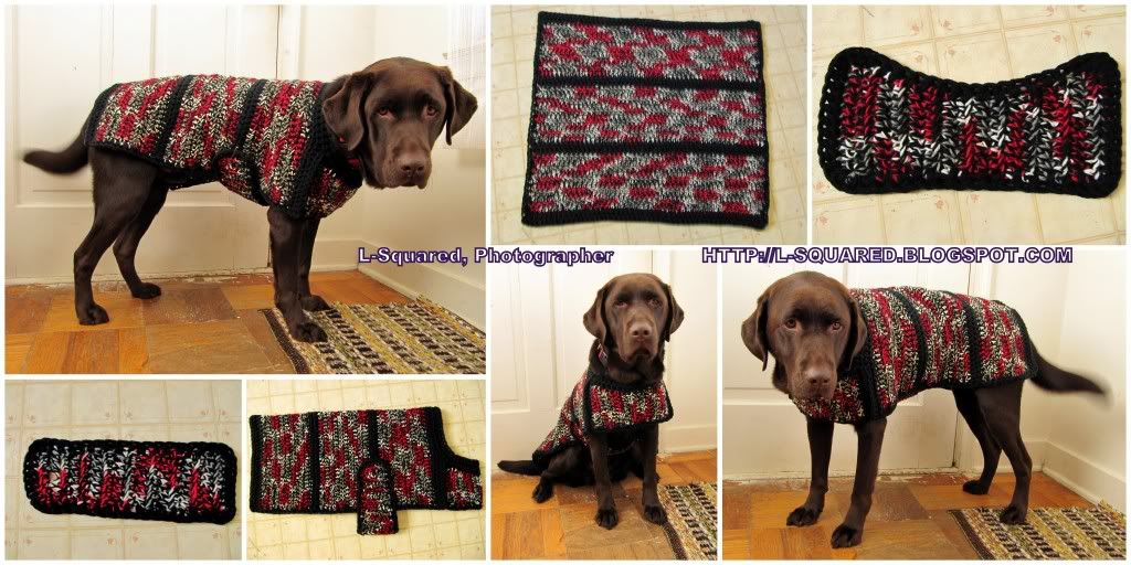 Dog Sweaters : Crochet Patterns, Knitting Patterns, Hooks, Needles