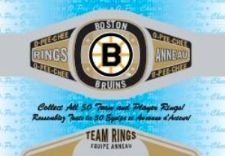 2013-14 O-Pee-Chee Team Rings Bruins
