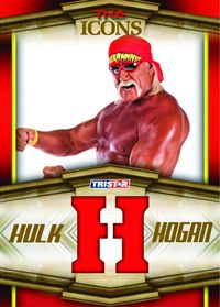 2010 TNA Icons Hulk Hogan Bandana Letter H