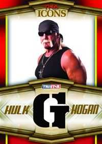 2010 TNA Icons Hulk Hogan Bandana Letter G