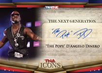 2010 TNA Icons D'Angelo Dinero Autograph
