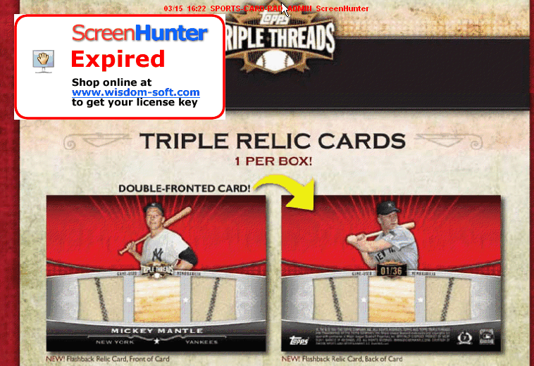 2011 Topps Triple Threads Mickey Mantle Flashback Relic