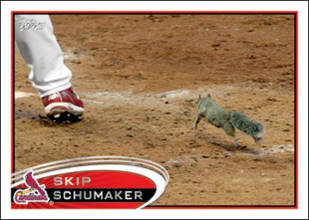 2012 Topps Series 1 Skip Schumaker Rally Squirrel
