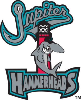 Jupiter Hammerheads Team Logo