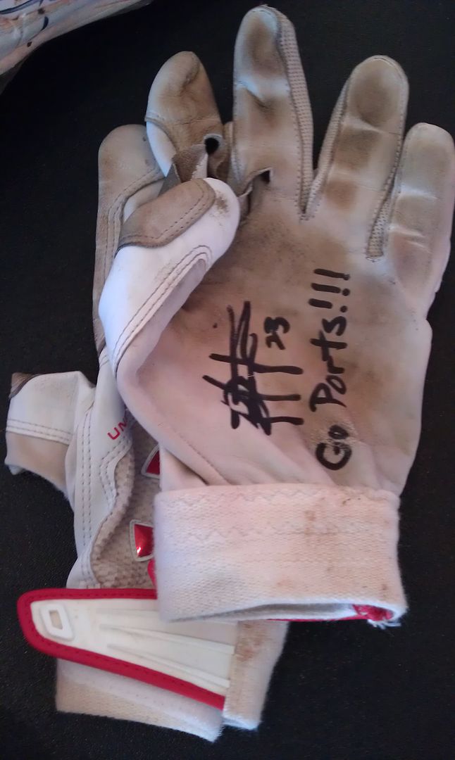 Rashun Dixon Game Used Batting Gloves