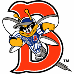 Binghamton Mets Team Logo