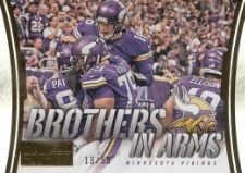 2014 Panini Hot Rookies Brothers IN Arms Gold Vikings