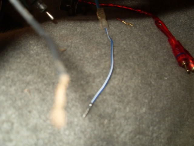 SDC10496.jpg