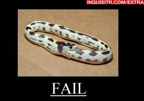 snake-fail.jpg