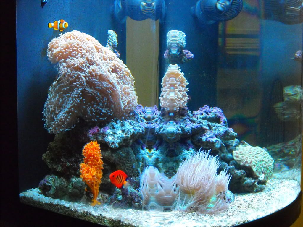 reefing the australian way