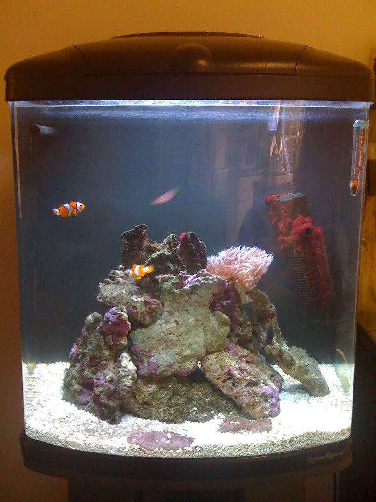 reefing the australian way