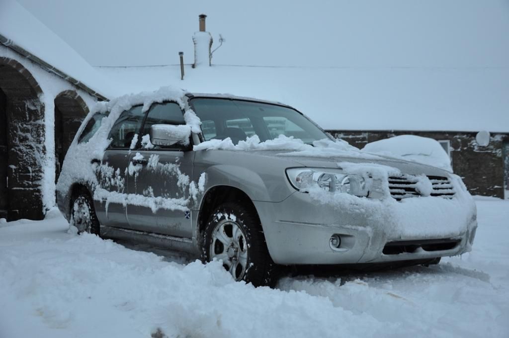 subaru forester в снегу