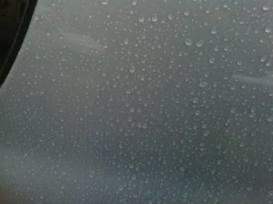 IMG-20110510-00077.jpg