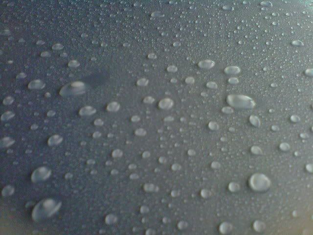 IMG-20110519-00079.jpg