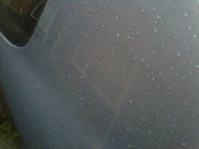 IMG-20110618-00005.jpg
