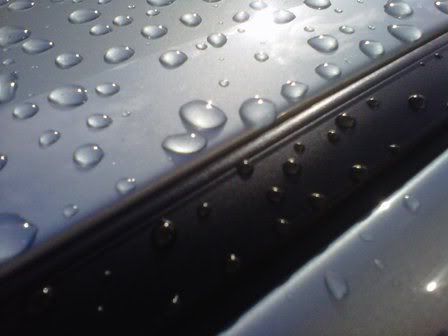 IMG-20110922-00081.jpg