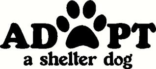 Rescue/shelter animal Rescue/shelter animal