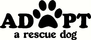 Rescue/shelter animal Rescue/shelter animal