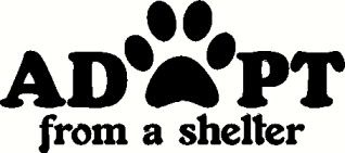 Rescue/shelter animal Rescue/shelter animal