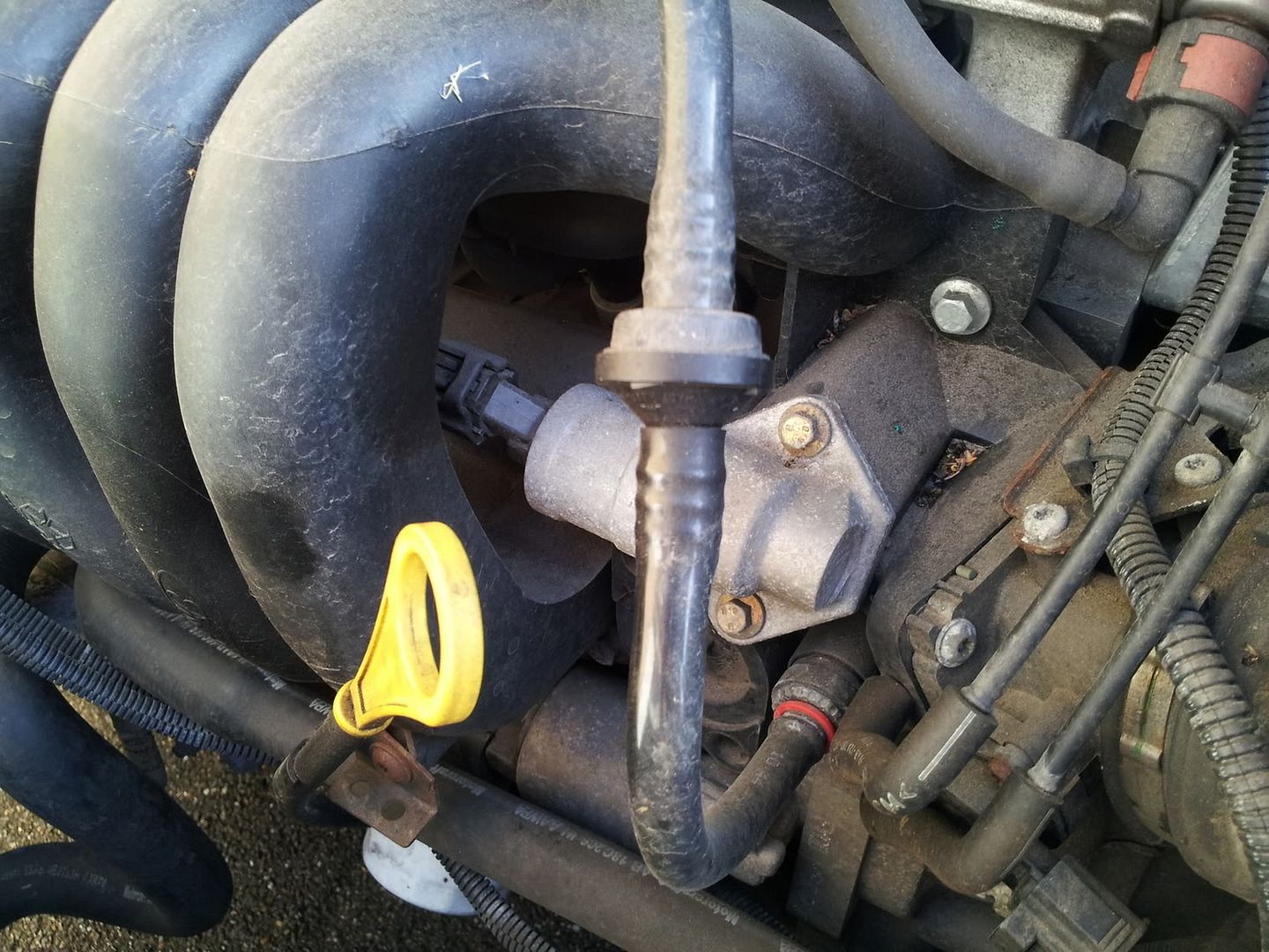 Changing An Iac Valve Ford Focus Club Ford Owners Club Ford Forums