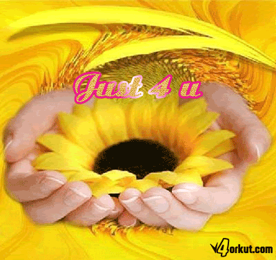 flower scraps greetings images for orkut, facebook