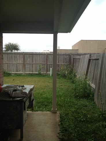 Cuộc sống ở mỹ trong mắt 1 anh chàng mới nhập cư - 8