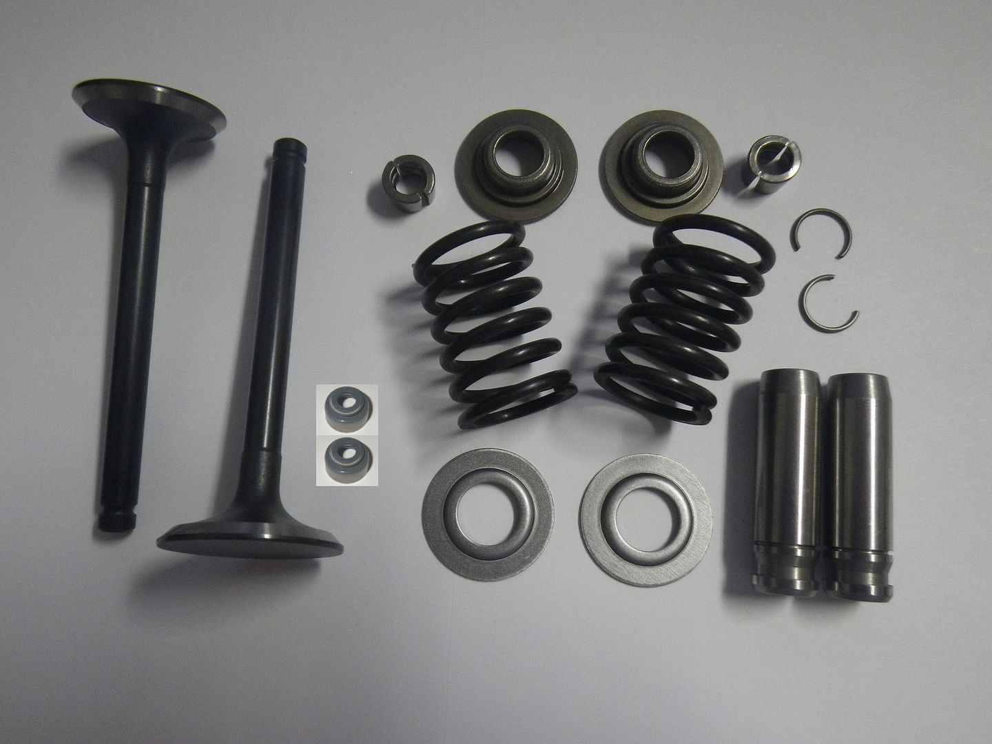 Club Car DS Precedent Golf Cart 1992Up Fe290 Valve Spring Kit w/ Valves