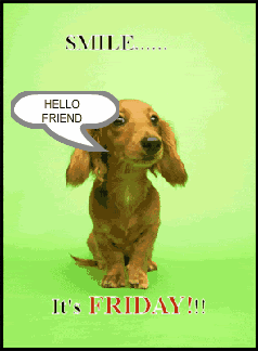 dog Pictures, Images and Photos