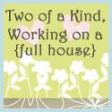 Two of a kind, Working on a Full House Blog