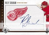 12-13 Limited Riley Sheahan RC