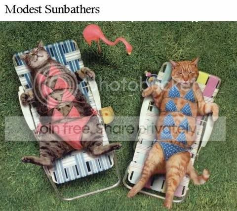 sunbath.jpg