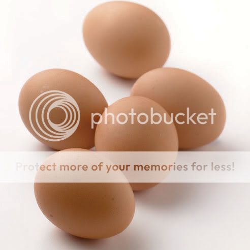 Eggs Pictures, Images and Photos
